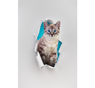 Gato animal estor - TenStickers