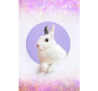 Estore de rolo animais variados retrato de coelho - TenStickers