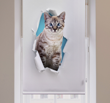 Gato animal estor - TenStickers