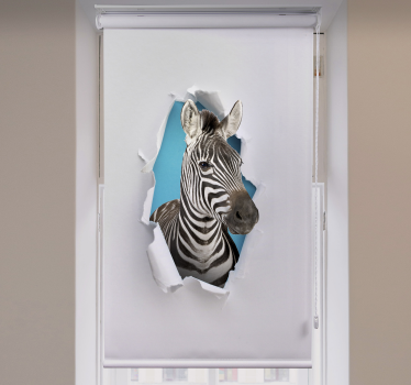 Zebra animal estor - TenStickers