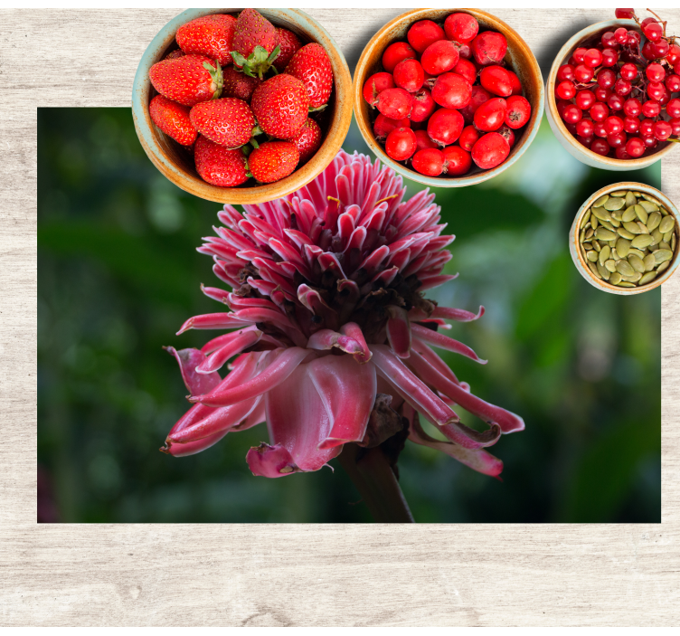 Individuais de mesa originais arranjo floral tropical - TenStickers