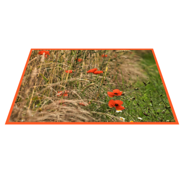 Individuais de mesa infantis arranjos de comida divertidos - TenStickers