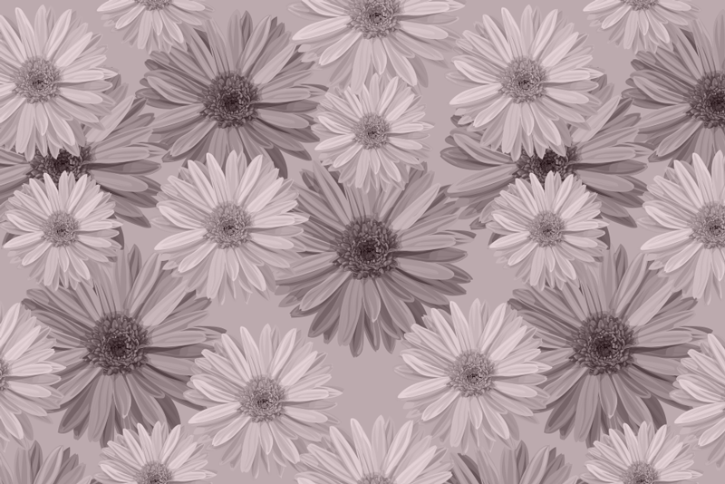 Individuais de mesa florais margaridas vintage - TenStickers