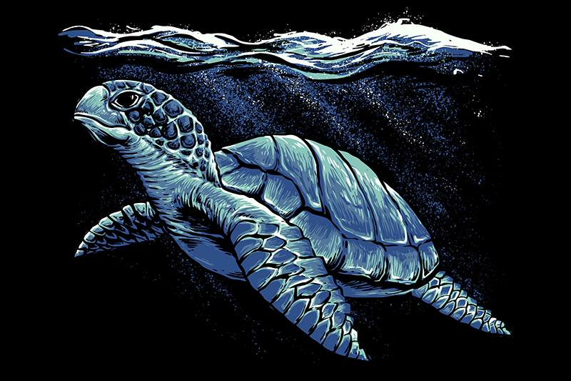 Individuais de mesa de animais desenho de tartaruga - TenStickers