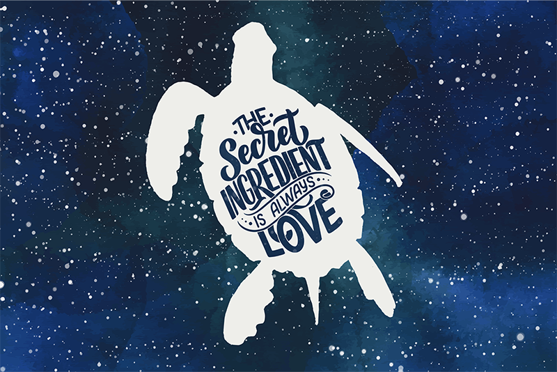 Individuais de mesa Tartaruga na galáxia - TenStickers