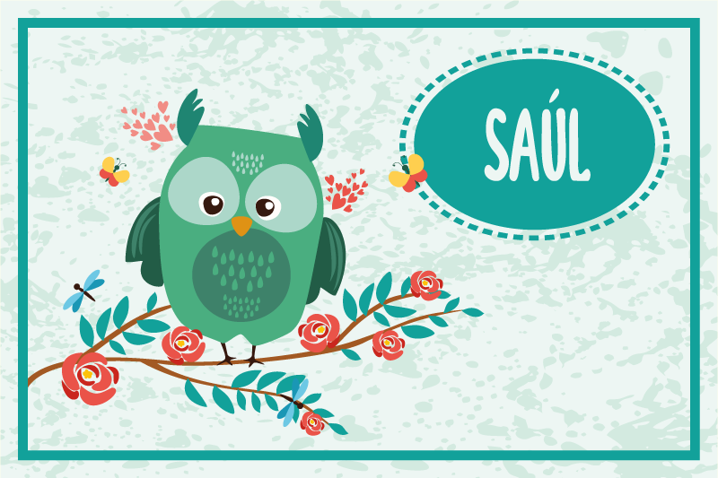 Individuais de mesa Coruja personalizável - TenStickers