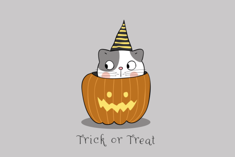 Individual de mesa halloween gato na abóbora - TenStickers