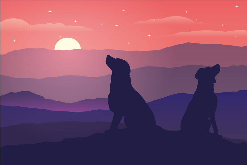 Individuais de mesa originais cães silhuetados ao pôr do sol - TenStickers