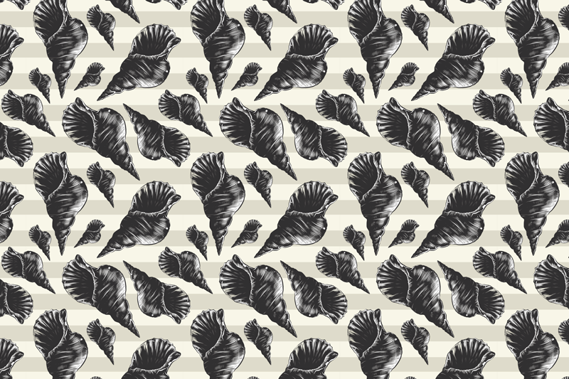 Individuais de mesa modernos motivos de conchas elegantes - TenStickers