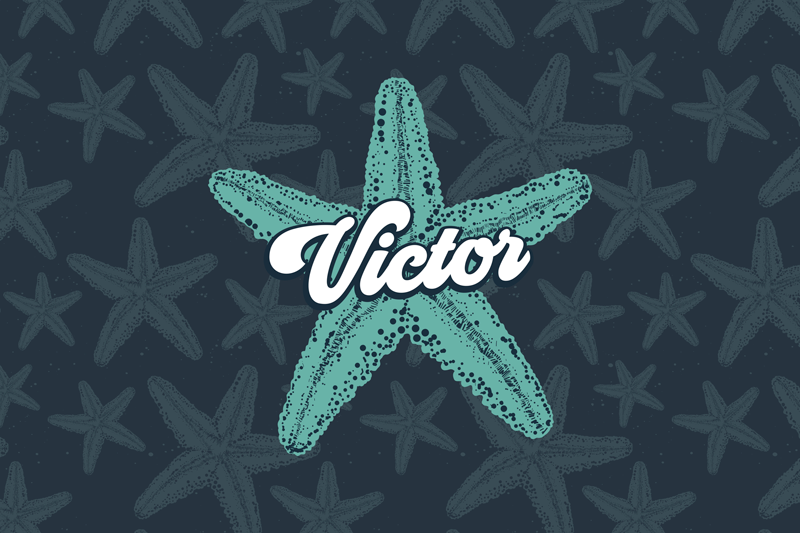 Individuais de mesa com nome acento personalizado estrela - TenStickers