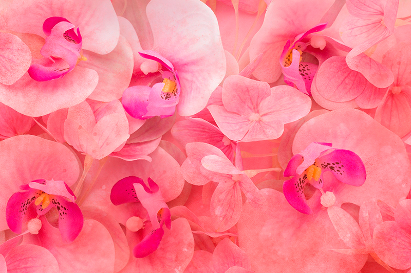 Individuais de mesa de texturas composição flores elegantes - TenStickers