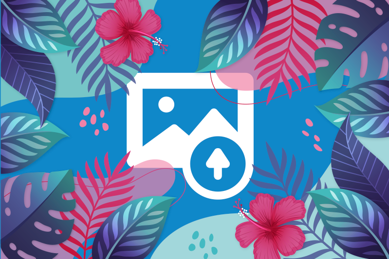 Individuais de mesa originais folhas tropicais coloridas - TenStickers