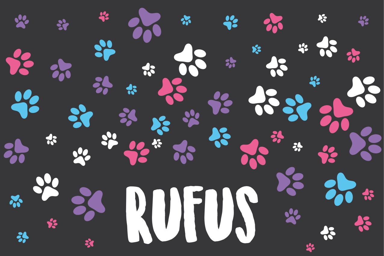 Individuais de mesa infantis patas coloridas - TenStickers