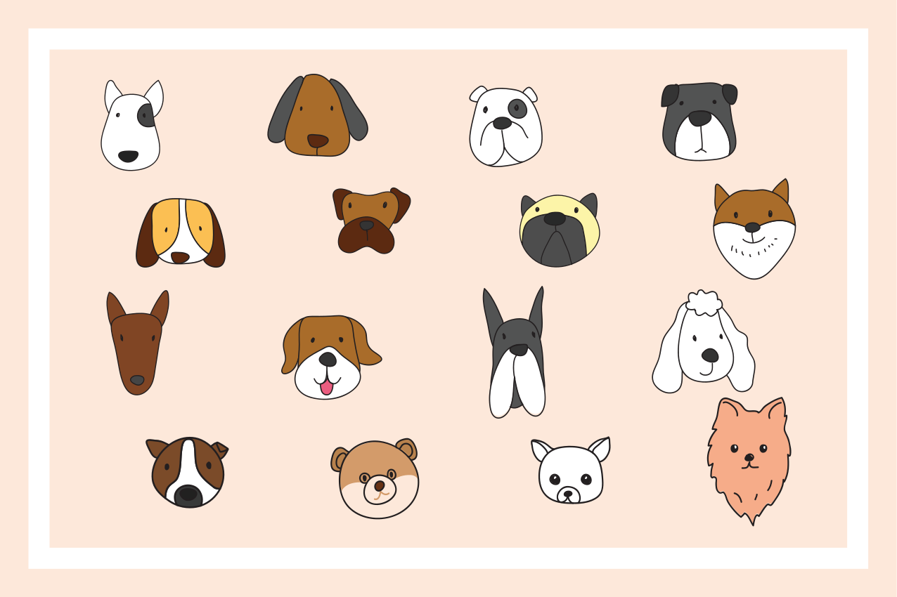 Individuais de mesa infantis coleção rostos de animais - TenStickers