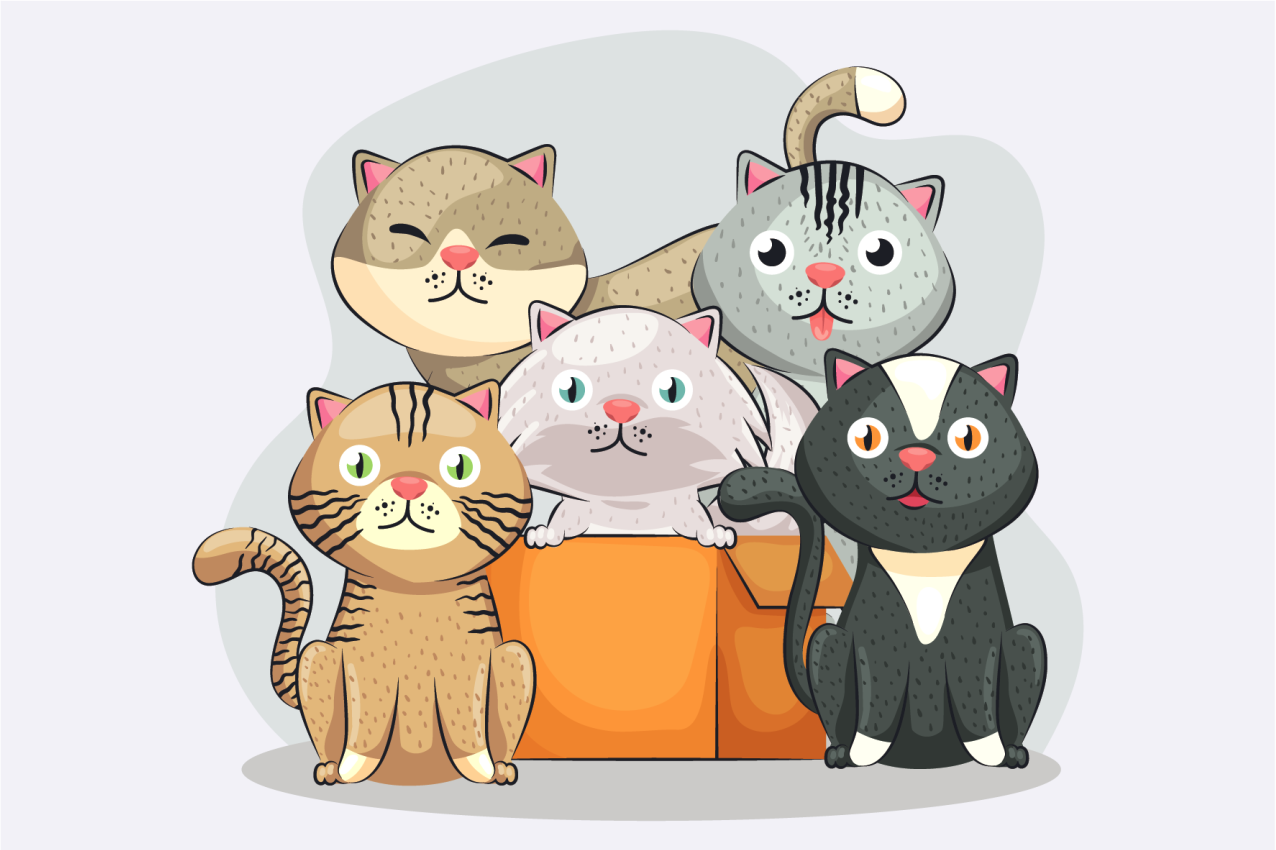 Individuais de mesa infantis Gatos na caixa - TenStickers