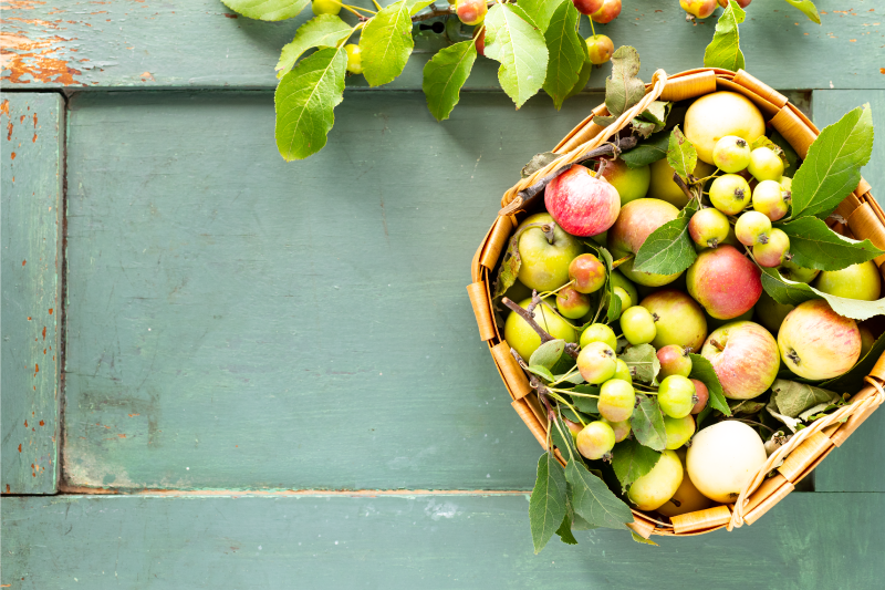 Individuais de mesa para casa arranjo de cesta de frutas - TenStickers