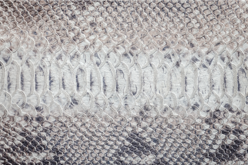 Individuais de mesa de texturas pele de serpente - TenStickers