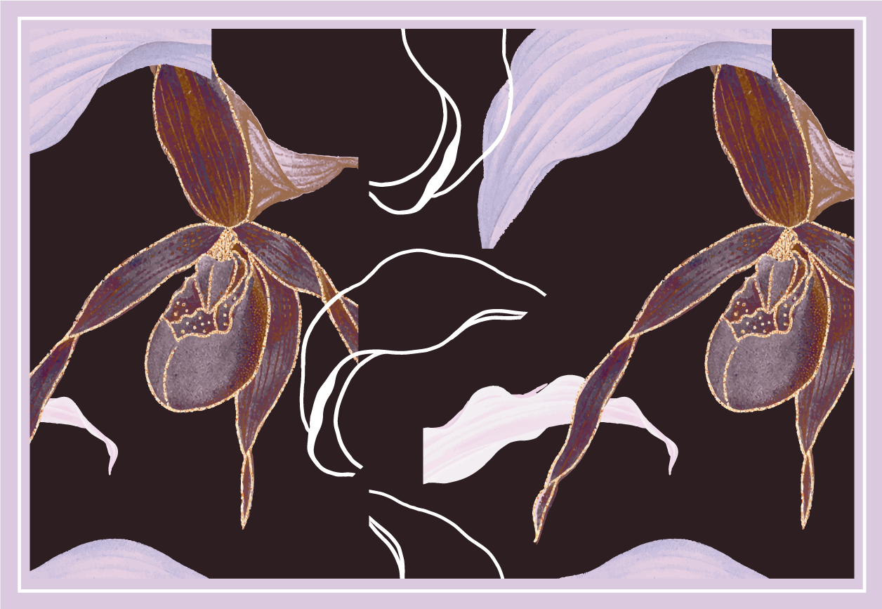 Individuais de mesa elegantes com padrão floral orquídea - TenStickers