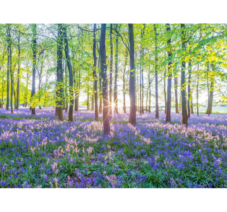 Mural de parede bosques modernismo inspirado na natureza - TenStickers