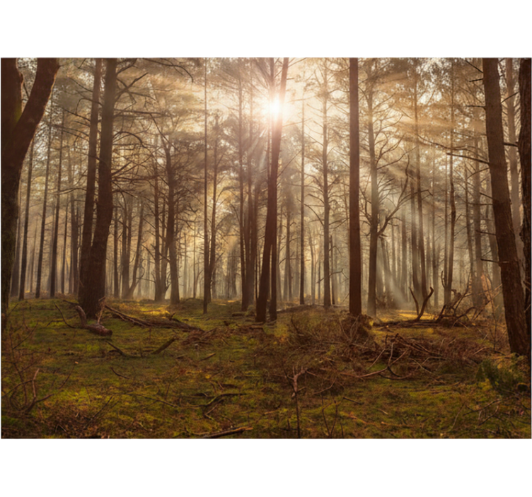 Mural de parede bosques lounge da vida selvagem dourada - TenStickers