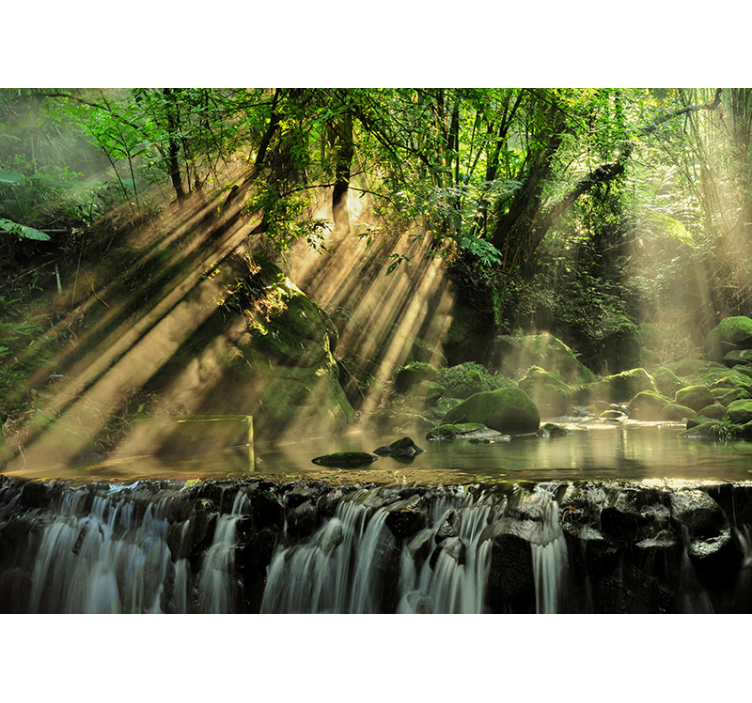 Fotomurais de paisagens Numa Floresta Secreta - TenStickers