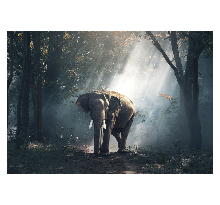 Fotomural elefante na floresta - TenStickers