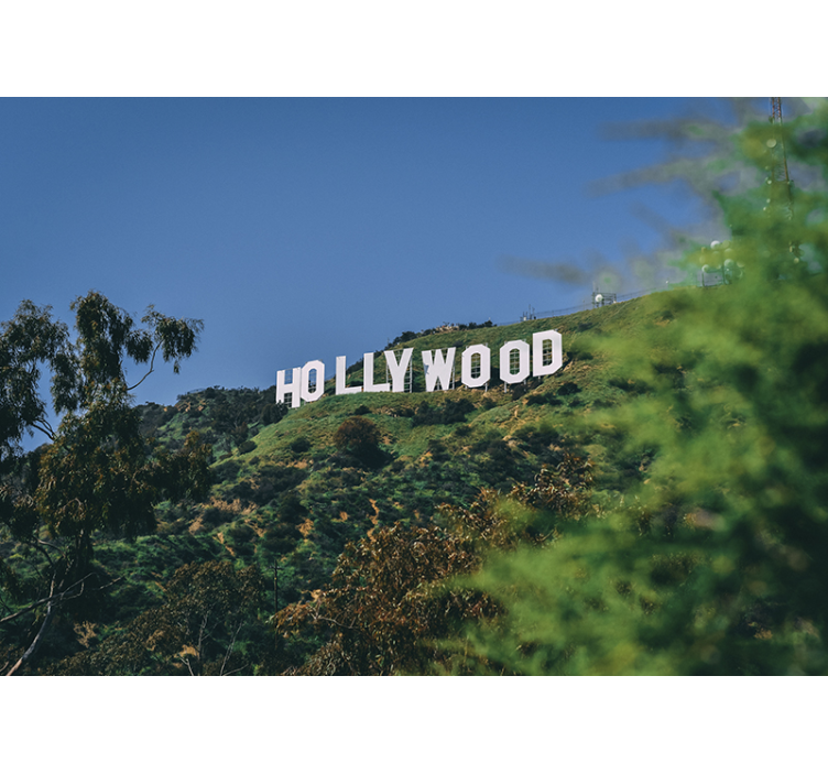 Mural de parede decorativo Hollywood - TenStickers
