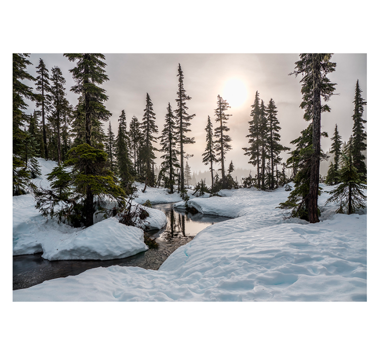 Fotomurais de paisagens Sol de inverno - TenStickers