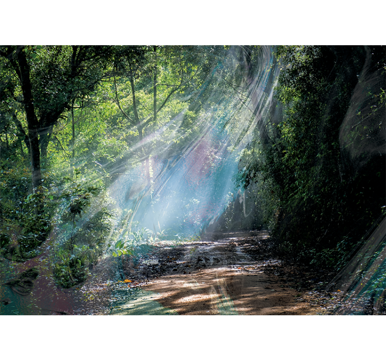 Mural de parede natureza caminho radiante da floresta - TenStickers