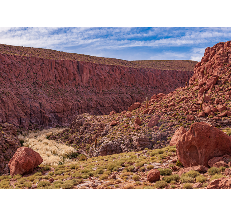 Mural de parede montanha paisagem desértica vermelha - TenStickers