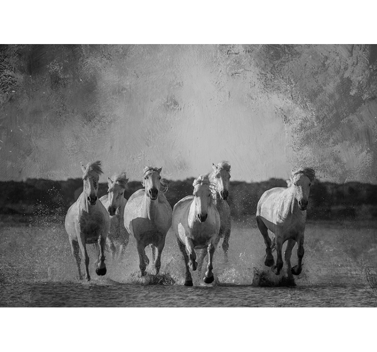 Mural de parede animais cavalos brancos em corrida - TenStickers
