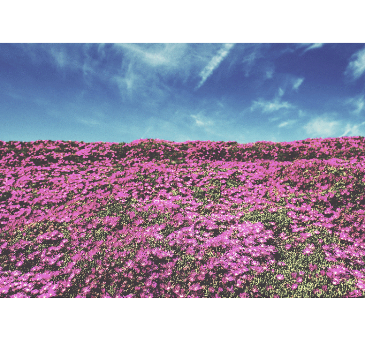 Fotomurais flores rosas vibrantes em flor - TenStickers