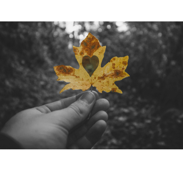 Mural de parede natureza folha em forma de coração - TenStickers