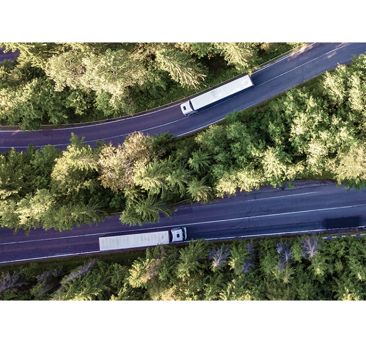 Mural de parede veículos caminhões na rodovia - TenStickers