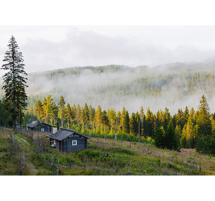 Fotomurais de paisagens floresta coberta de névoa - TenStickers