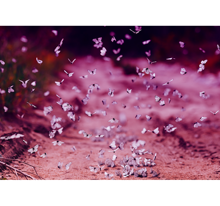 Fotomurais flores dança delicada da borboleta - TenStickers