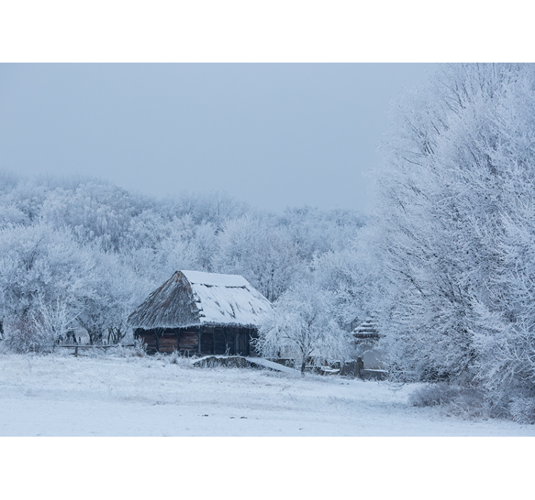 Fotomurais de paisagens paisagem de inverno nevada - TenStickers