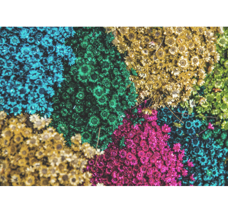 Fotomurais flores com padrões florais coloridos - TenStickers