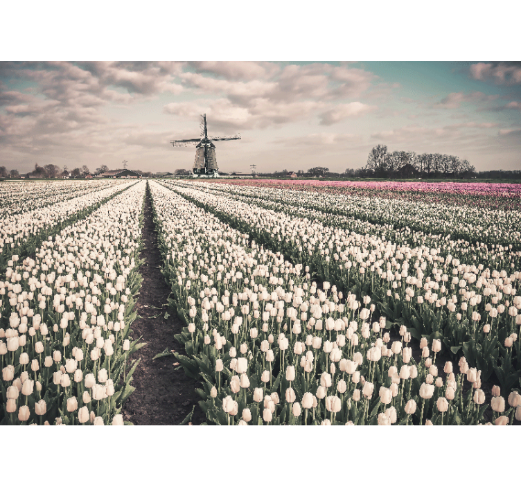 Fotomurais flores paisagem de tulipas - TenStickers