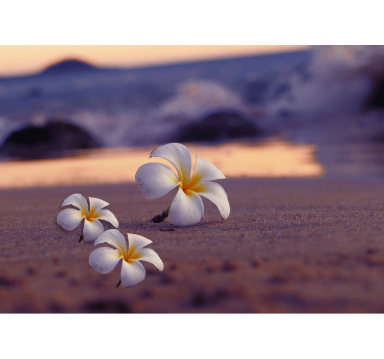 Mural de parede papoilas trio de flores tropicais - TenStickers