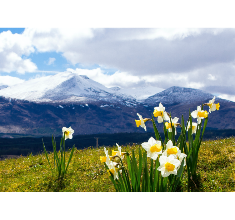 Fotomurais flores narcisos nas montanhas - TenStickers