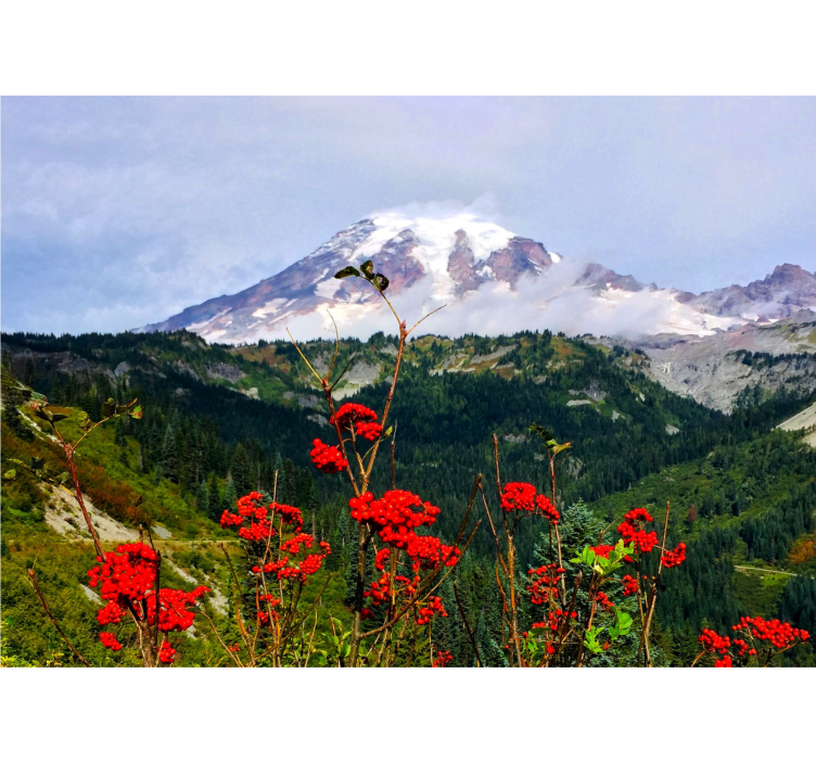 Fotomurais de paisagens montanha coberta de neve - TenStickers