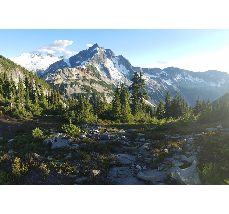 Fotomurais de paisagens vista de floresta montanhosa - TenStickers