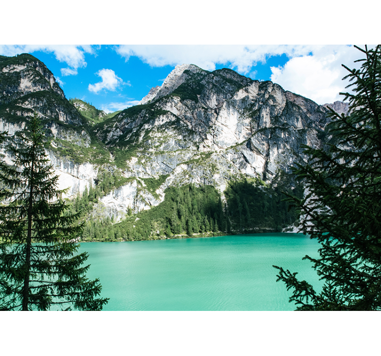 Fotomurais de paisagens panorama das grandes montanhas - TenStickers