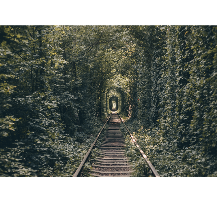 Fotomurais de paisagens túnel de ferro natureza - TenStickers