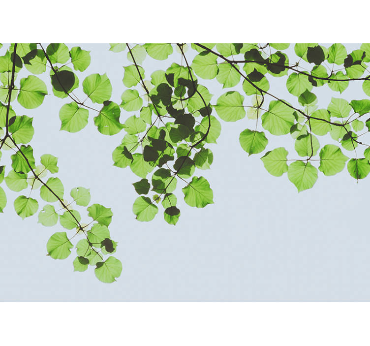 Mural de parede de árvores cobertura de ramos folhosos - TenStickers