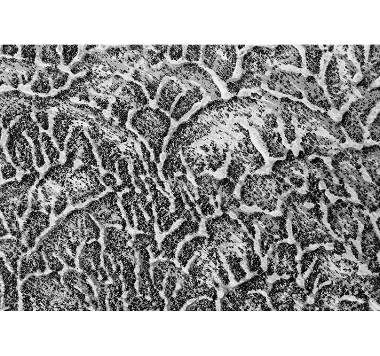 Fotomurais texturas e padrões padrão orgânico - TenStickers