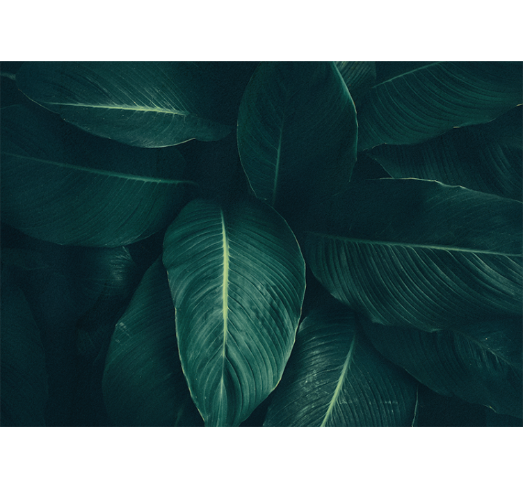 Mural de parede natureza textura folhosa exuberante - TenStickers