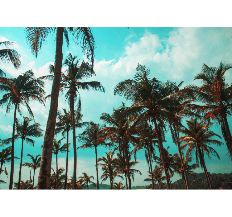 Fotomurais de paisagens Belas palmeiras paisagem tranquila - TenStickers