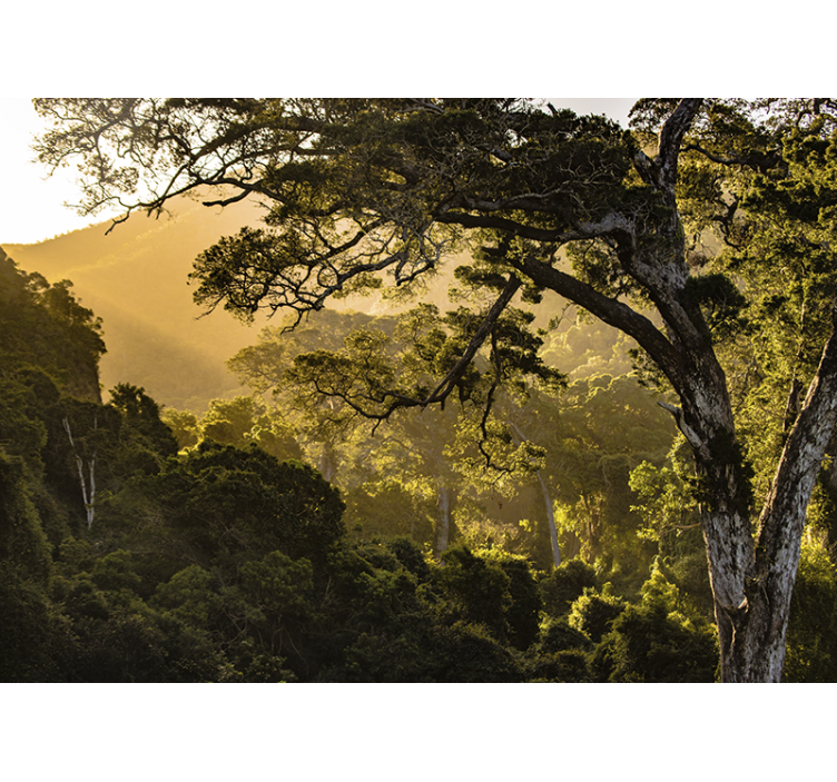Mural de parede natureza paisagem verdejante de floresta - TenStickers